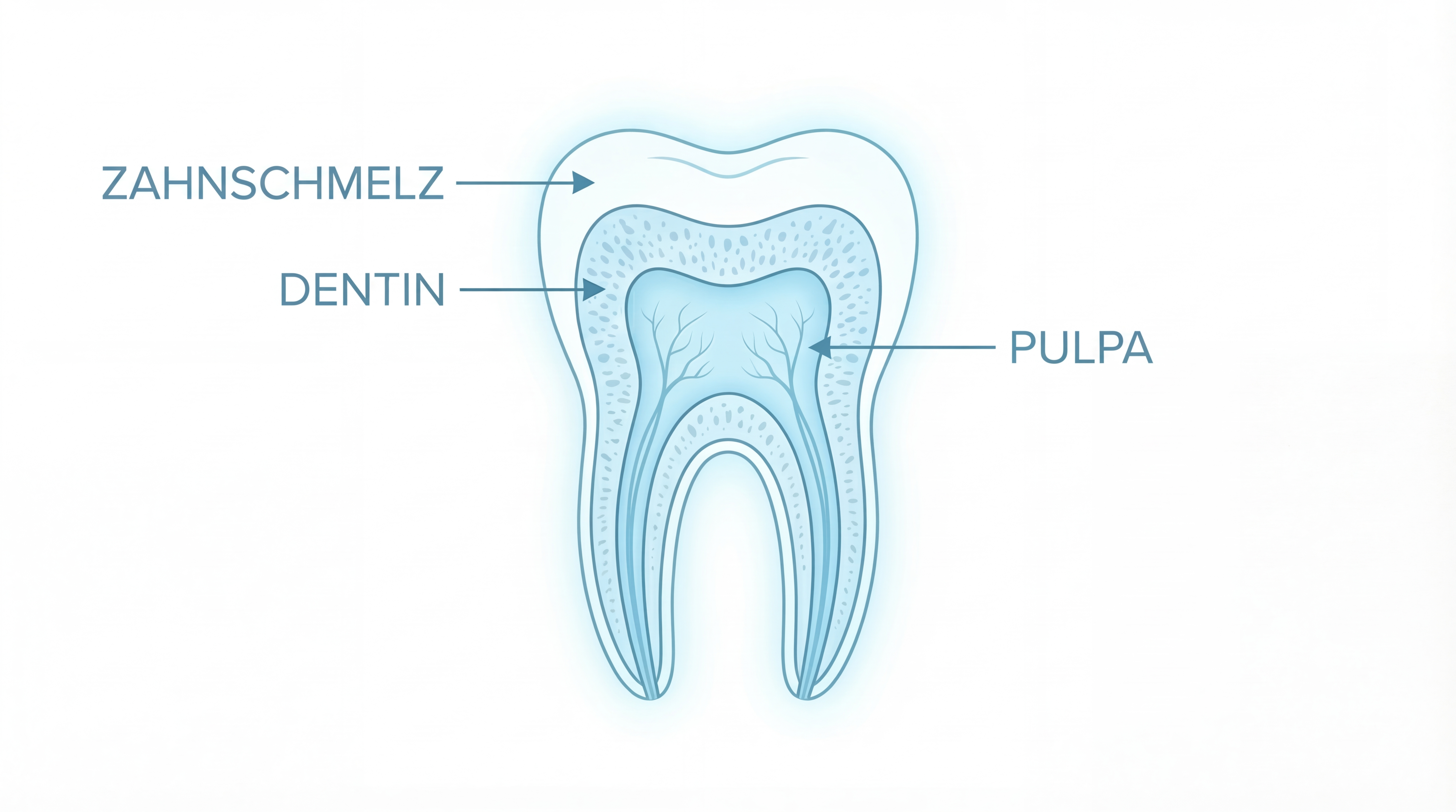 zahn schmerzt beim draufbeißen